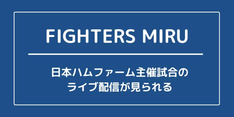FIGHTERS MIRU