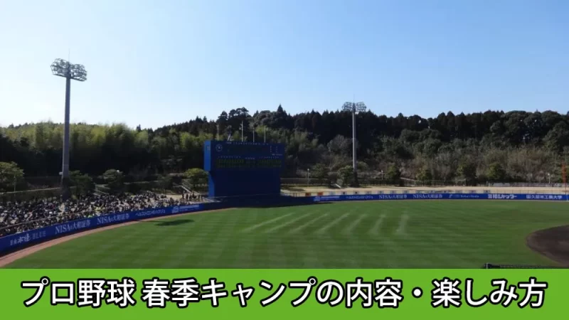 プロ野球春季キャンプの内容・楽しみ方